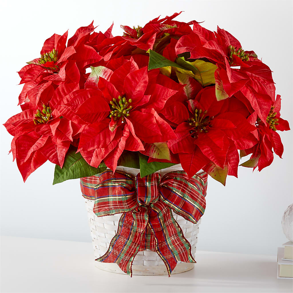 Happiest Holidays Poinsettia – Flowers By Monica Kelly, Sebastian FL