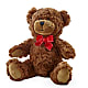 Adorable Plush Bear – Flowers By Monica Kelly, Sebastian FL