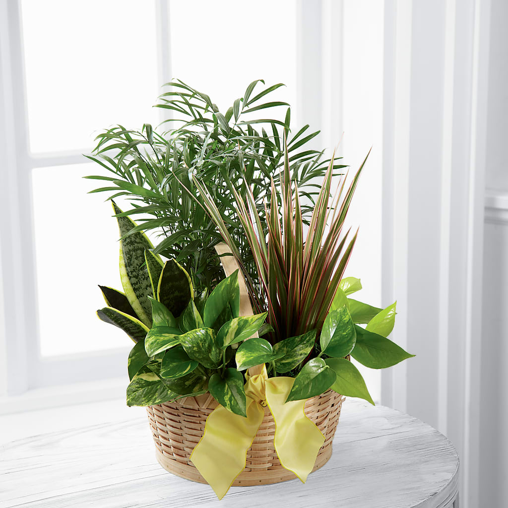 French Garden – Flowers By Monica Kelly, Sebastian FL