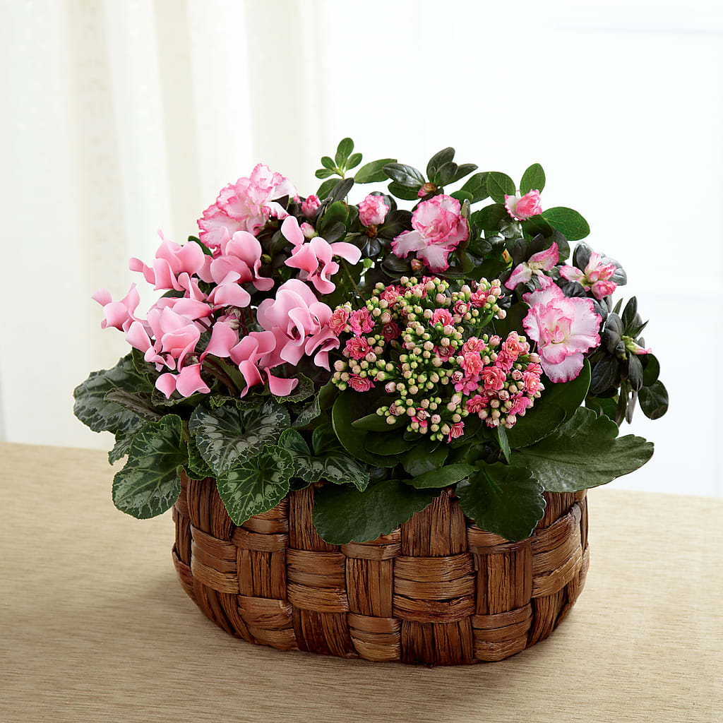 Pink Assortment – Flowers By Monica Kelly, Sebastian FL