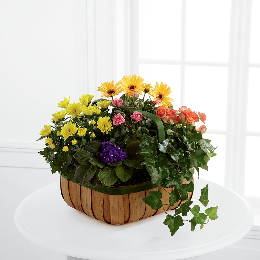 Gentle Blossoms Basket – Flowers By Monica Kelly, Sebastian FL