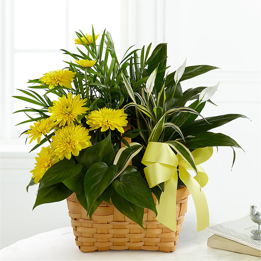 Loving Light Dishgarden – Flowers By Monica Kelly, Sebastian FL