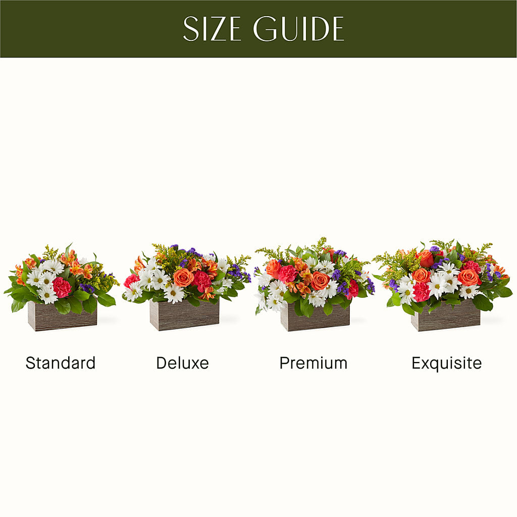 Oopsie Daisy Box Bouquet – Flowers By Monica Kelly, Sebastian FL