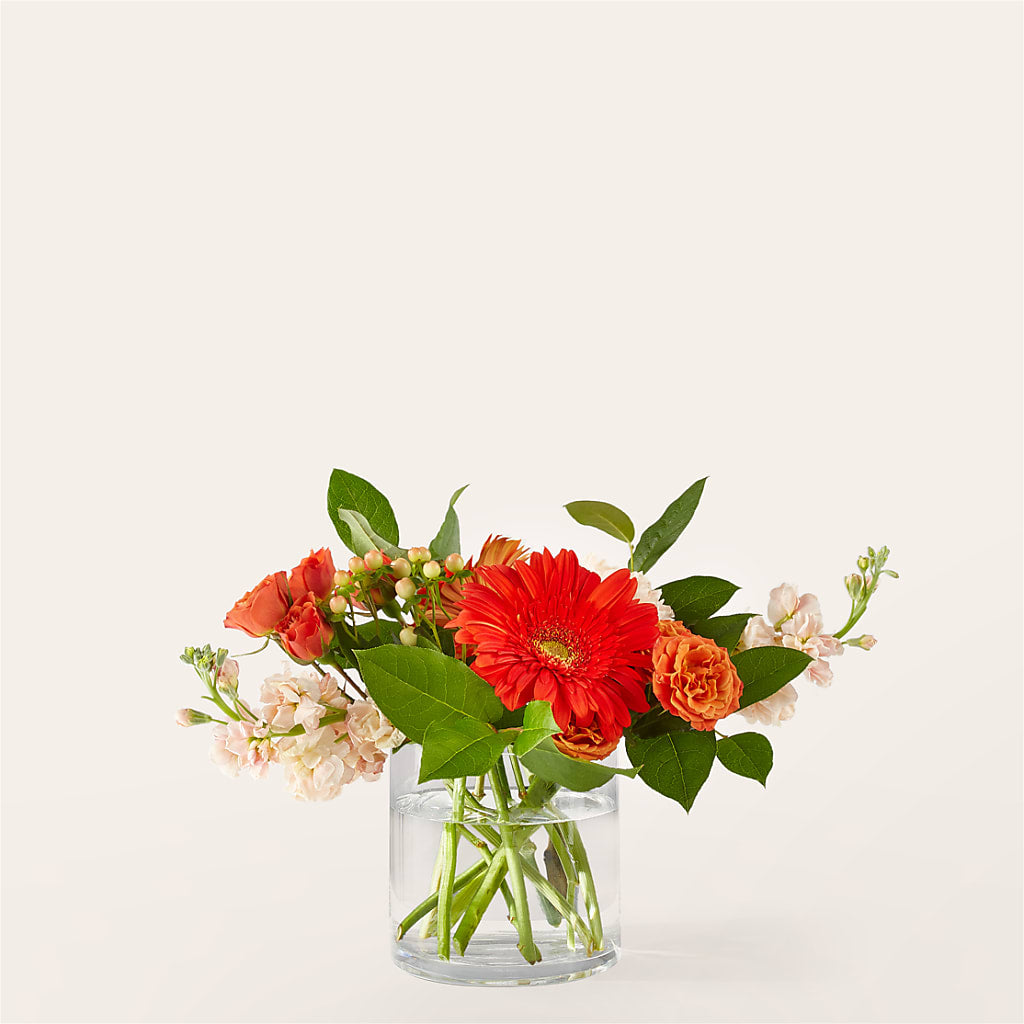 Paloma Please Bouquet – Flowers By Monica Kelly, Sebastian FL