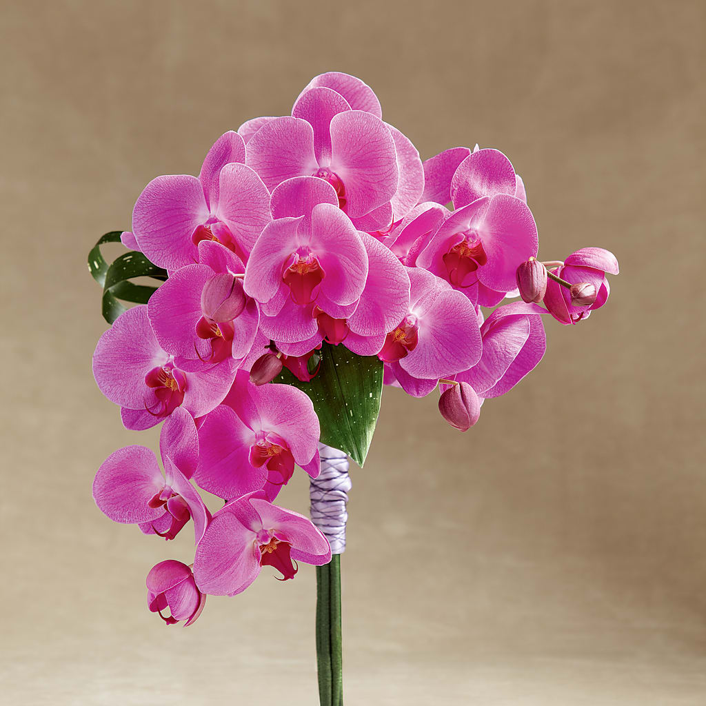 Glorious Bouquet – Flowers By Monica Kelly, Sebastian FL