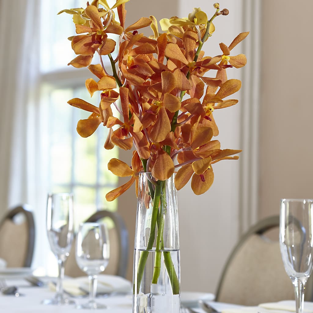 Orange Mokara Bud Vase – Flowers By Monica Kelly, Sebastian FL