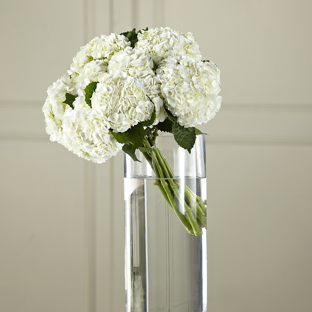 White Hydrangea Hand-Tied Bouquet – Flowers By Monica Kelly, Sebastian FL