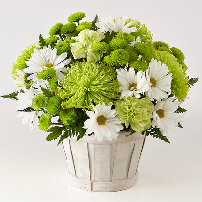 Lucky Charm Basket (Standard) –  Flowers By Monica Kelly, Sebastian FL