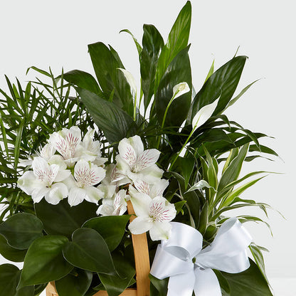 Peace & Serenity Dishgarden –  Flowers By Monica Kelly, Sebastian FL