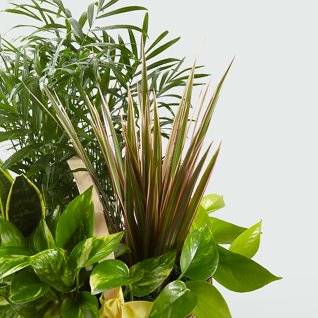 French Garden –  Flowers By Monica Kelly, Sebastian FL