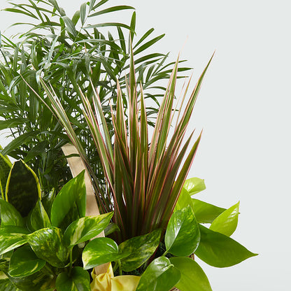 French Garden –  Flowers By Monica Kelly, Sebastian FL