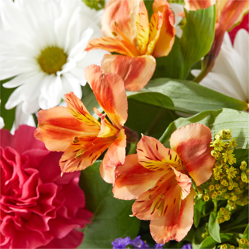 Oopsie Daisy Box Bouquet –  Flowers By Monica Kelly, Sebastian FL