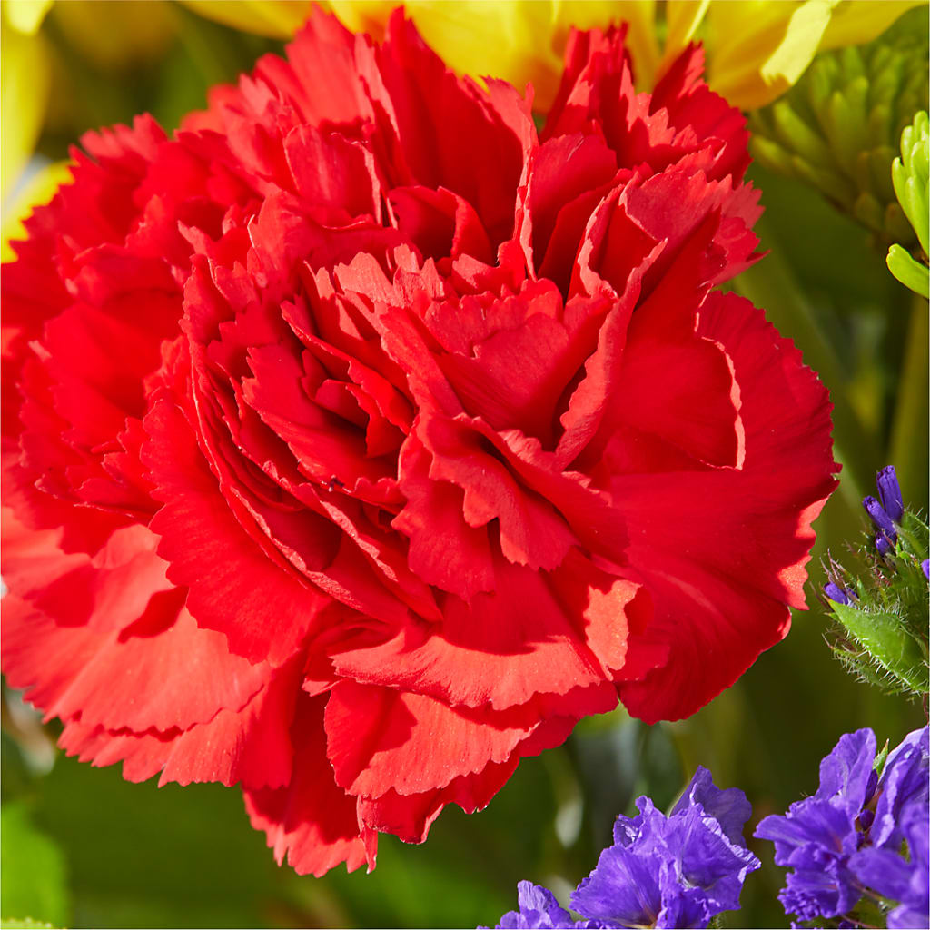 Brighter Days Bouquet –  Flowers By Monica Kelly, Sebastian FL