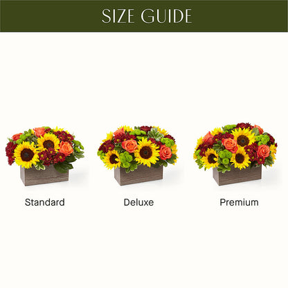 Happy Harvest Garden –  Flowers By Monica Kelly, Sebastian FL