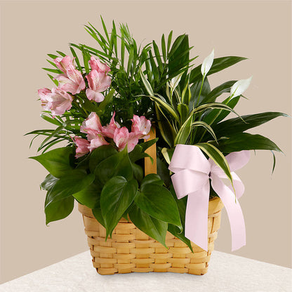 Living Spirit Dishgarden –  Flowers By Monica Kelly, Sebastian FL