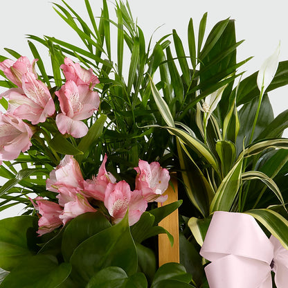 Living Spirit Dishgarden –  Flowers By Monica Kelly, Sebastian FL