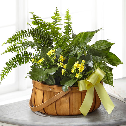 Always Dear Dishgarden –  Flowers By Monica Kelly, Sebastian FL