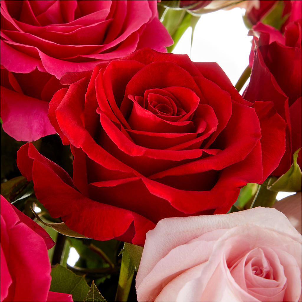 Love Notes Rose Bouquet –  Flowers By Monica Kelly, Sebastian FL