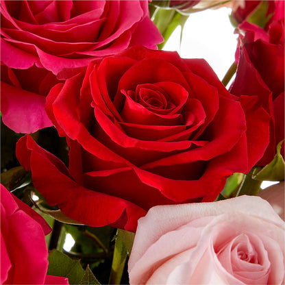 Love Notes Rose Bouquet –  Flowers By Monica Kelly, Sebastian FL