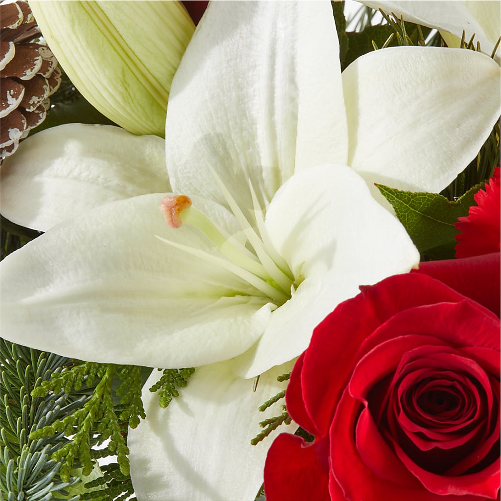 Oh So Jolly Bouquet –  Flowers By Monica Kelly, Sebastian FL