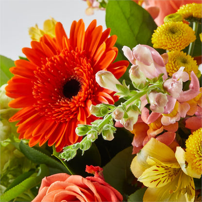 Autumn Sunshine Bouquet –  Flowers By Monica Kelly, Sebastian FL