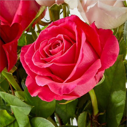 Charming Rose Bouquet –  Flowers By Monica Kelly, Sebastian FL
