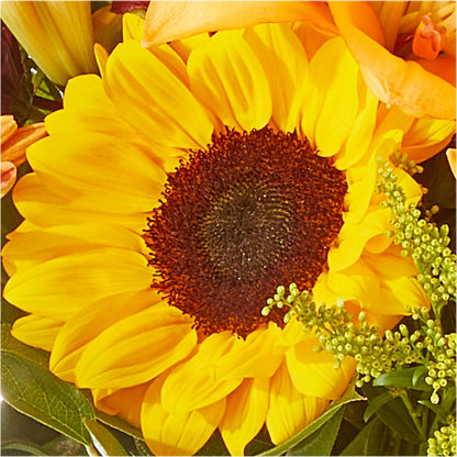 Seasons Change Bouquet –  Flowers By Monica Kelly, Sebastian FL