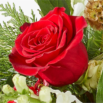 Deck the Halls Bouquet –  Flowers By Monica Kelly, Sebastian FL