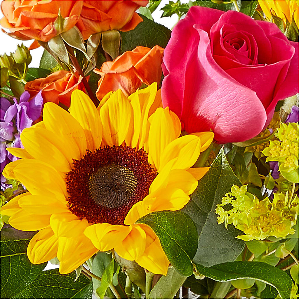 Vibrant Greetings Bouquet –  Flowers By Monica Kelly, Sebastian FL