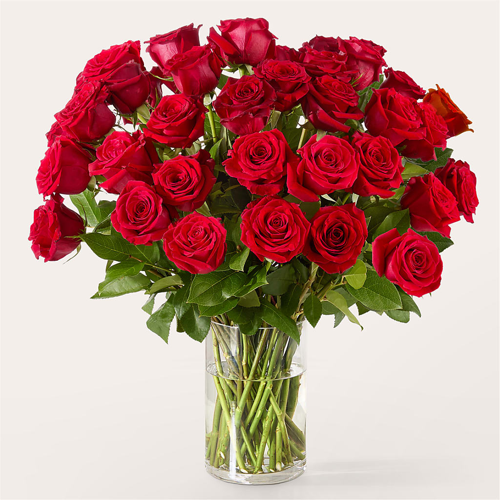 The One Red Rose Bouquet –  Flowers By Monica Kelly, Sebastian FL