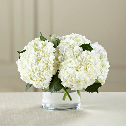 White Hydrangea Bouquet –  Flowers By Monica Kelly, Sebastian FL